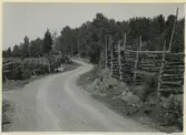 Landsvägen mellan Drageryd och Blankebro med gärdesgårdar byggda i låga stenmurar.