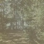 Rällagraven. Högsrum 9 augusti.