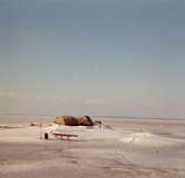 Pimpelfiske i Norra Saxnäs.