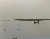 Fiske vid kusten i Gunnarstorp.