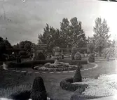 Widebergs trädgård