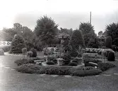 Widebergs trädgård