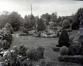 Widebergs trädgård