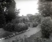 Widebergs trädgård