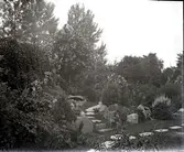 Widebergs trädgård