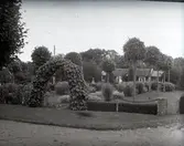 Widebergs trädgård