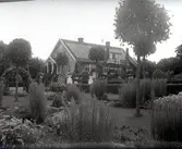 Widebergs trädgård