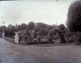 Widebergs trädgård