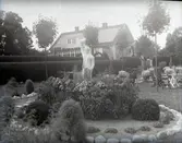 Widebergs trädgård