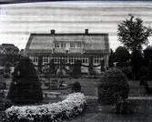 Widebergs trädgård