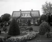 Widebergs trädgård