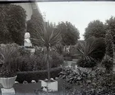 Widebergs trädgård