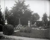 Widebergs trädgård