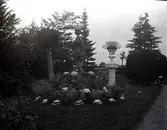 Widebergs trädgård