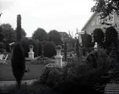 Widebergs trädgård