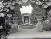 Widebergs trädgård