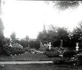 Widebergs trädgård