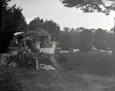 Widebergs trädgård