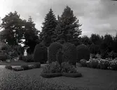 Widebergs trädgård