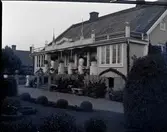 Widebergs trädgård