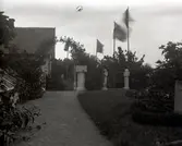 Widebergs trädgård