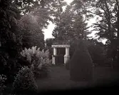 Widebergs trädgård