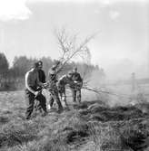 Gräsbrand i Myrö.
Maj 1956.