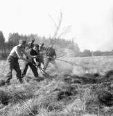 Gräsbrand i Myrö.
Maj 1956.