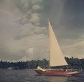 Segelbåten Elsi-Anne är ute och seglar.