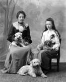 Ateljébild av två damer med sina hundar.