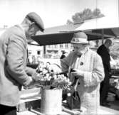 KrabbelundGrönsakstorget