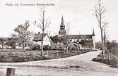 Varnhems Kyrkogata c:a 1910-15.
Nya träd har planterats, samma träd som står idag (1999).
