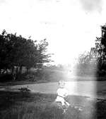 Härlunda socken. Anita Andersson i trädgården på Milsmaden år 1929.