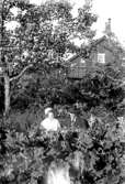 Härlunda socken.
Karin och Gunnar Andersson.
Foto från Herrtorp.
1925.