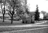 Skara. 
Kvarteret Herrgården.
Kråks herrgård. Västra delen av museiparken före grundgrävningen för Kråks västra flygel. 
Foto från norr.