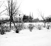 Domkyrkan i bakgrunden.