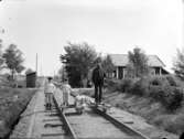 Stugan har bytt nummer från 1060 till 362, då fotot togs 1903 på banvakten Nils Fredrik Fryklunds 50-årsdag.