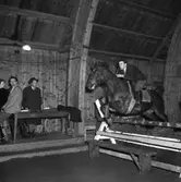 Ryttartävling i SKLS (Skaraborgs Läns Slakteriförening) uppvisningshall, Skara. December 1950. Ryttare Ingemar Bristav.