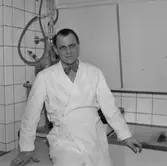 Chefsveterinär Ivar Dyrendahl, 1957.