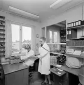 Kamrer Paul Junskog och hans fru Greta, 1967.