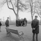 Skara läroverk.
Sången i Botan.
26/5 1965.