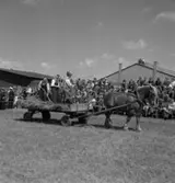 Skara. Hushållningssällskapets Utställning 14-16 juni 1957.