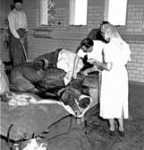 Skara. Veterinärinrättningen. Hästoperation 1951