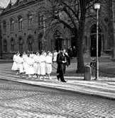 Skara. 
Konfirmation 1954. Nils Stenermark.