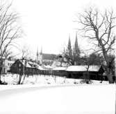 Skara. Domkyrkan från Museiparken.