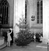 Skara. 
Domkyrkan, grantändning 1956.