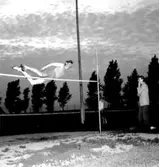 Skara. 
Allmän idrott, Skaravallen 1955, Skara-Skövde.