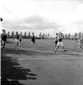 Skara. 
Allmän idrott, Skaravallen.