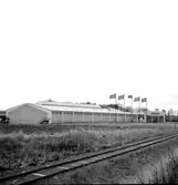 Skara. Bordtennis; Sverige - Kina 1962. Idrottshallen med flaggor.