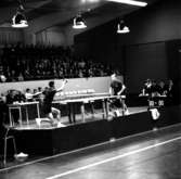 Skara. Bordtennis; Sverige - Kina 1962.